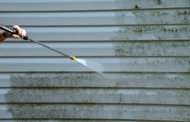 Best Professional Mold Removal  in Summerville, GA