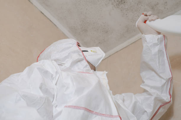 Best Toxic Mold Removal  in Summerville, GA