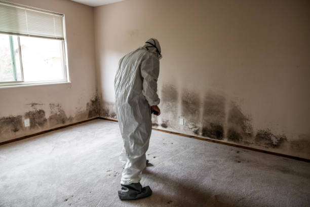 Crawl Space Mold Removal in Summerville, GA